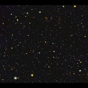 Meet your Posher, Brendan